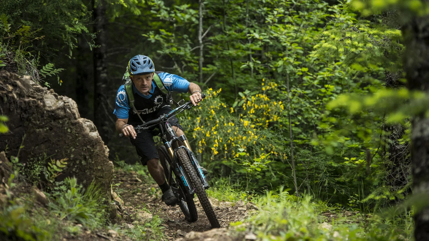 Revolution Bike Shop Sales -Revolution Bike Shop Sales 6